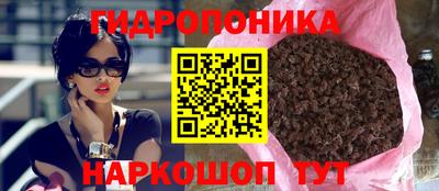 бошки Будённовск