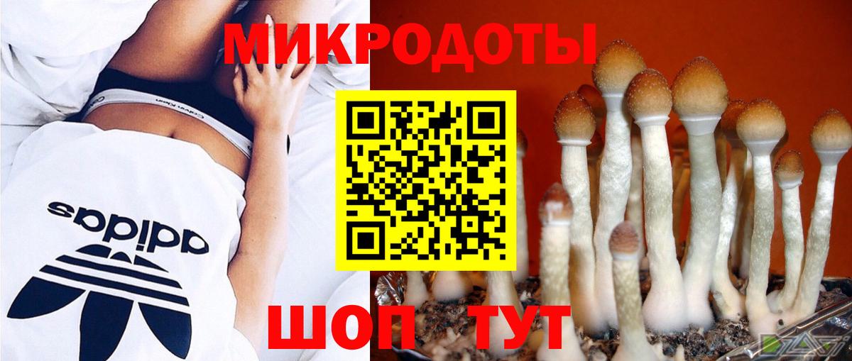 Галлюциногенные грибы прущие грибы  Галлюциногенные грибы ЛСД  Торжок  Вход с VPN 